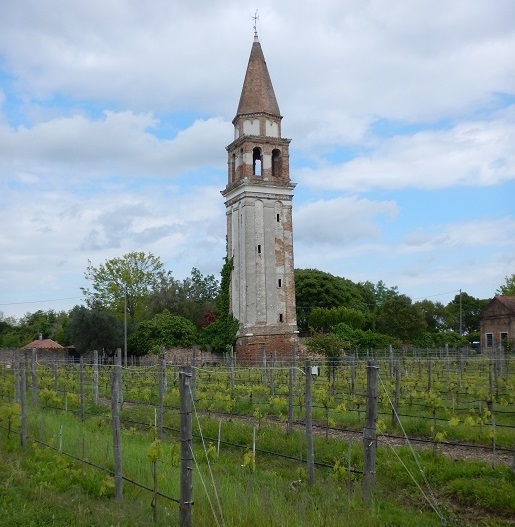 The Venissa Estate vineyard on Mazzorbo. (Photo by Steve Jankowski)